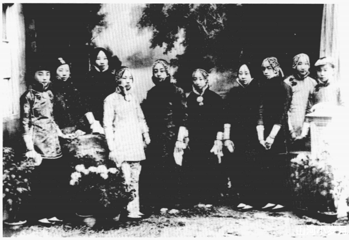 图片