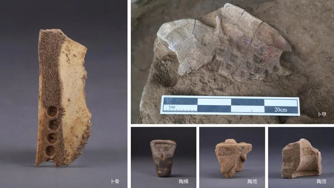 8 夯土建筑区出土卜甲卜骨、陶模陶范.jpeg