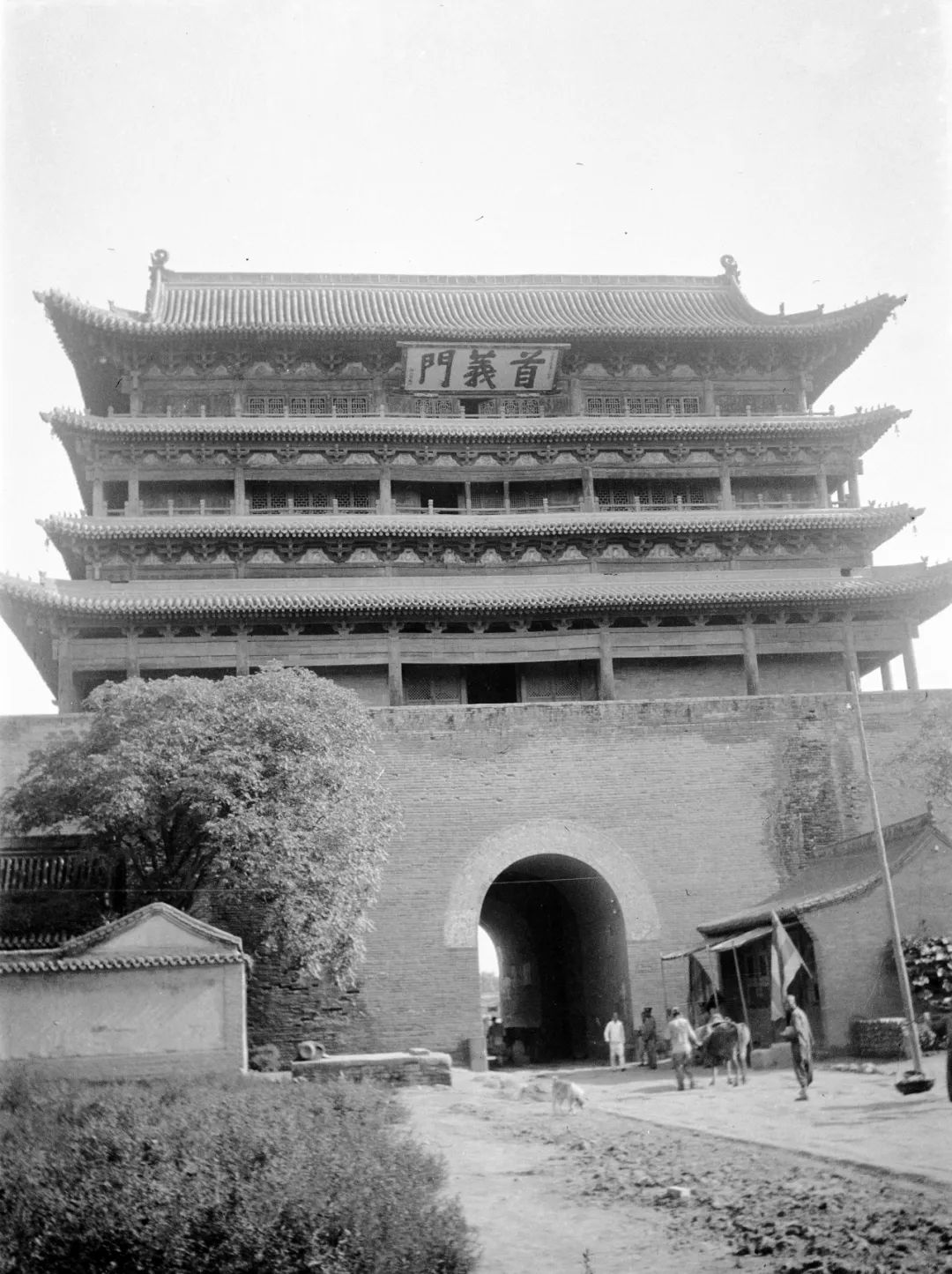 图片