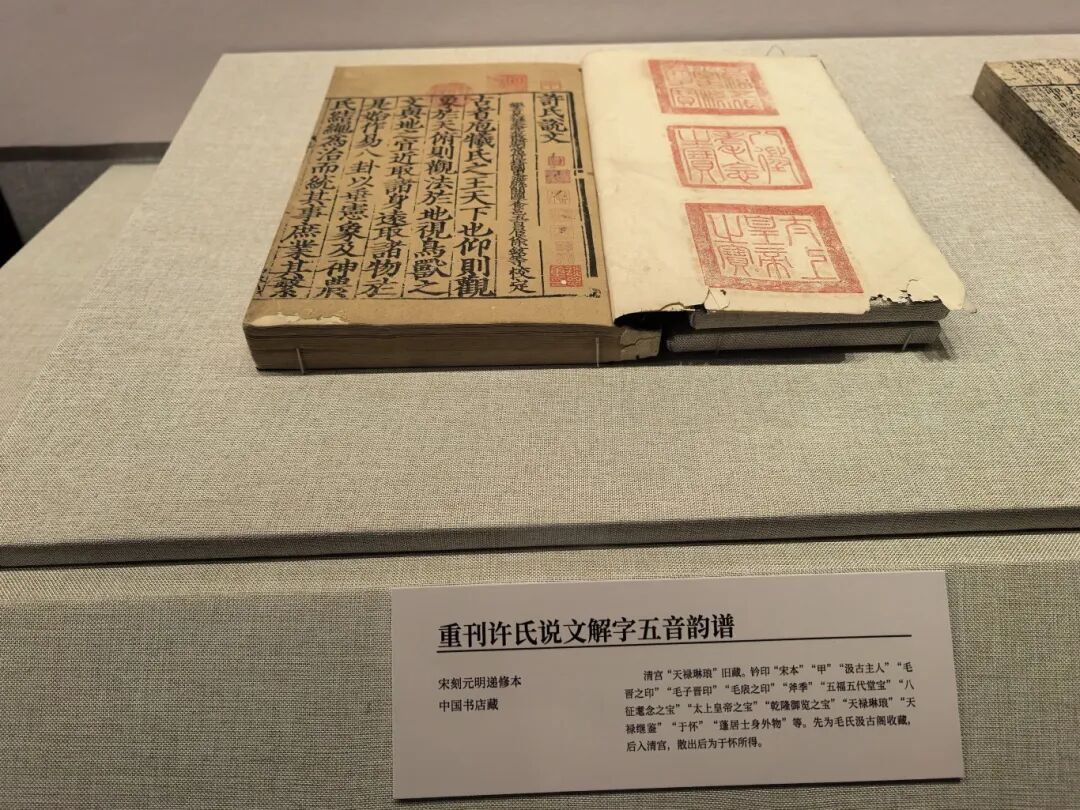 微信图片_20250929175445_325_411.jpg