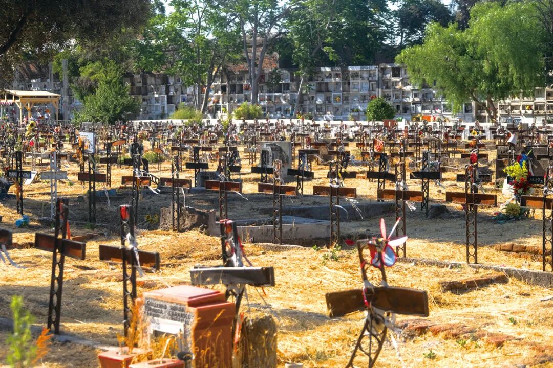 9圣地亚哥公墓-29号地1DSCF1066 copy.jpg