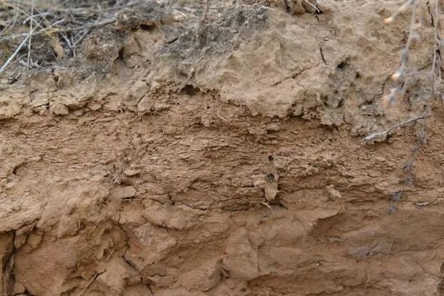 图二  踩踏路面.jpg