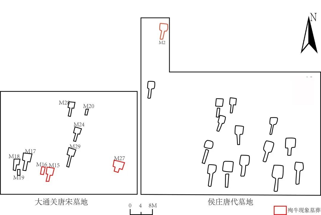 图一〇  两处墓地殉牛墓葬位置图.jpg