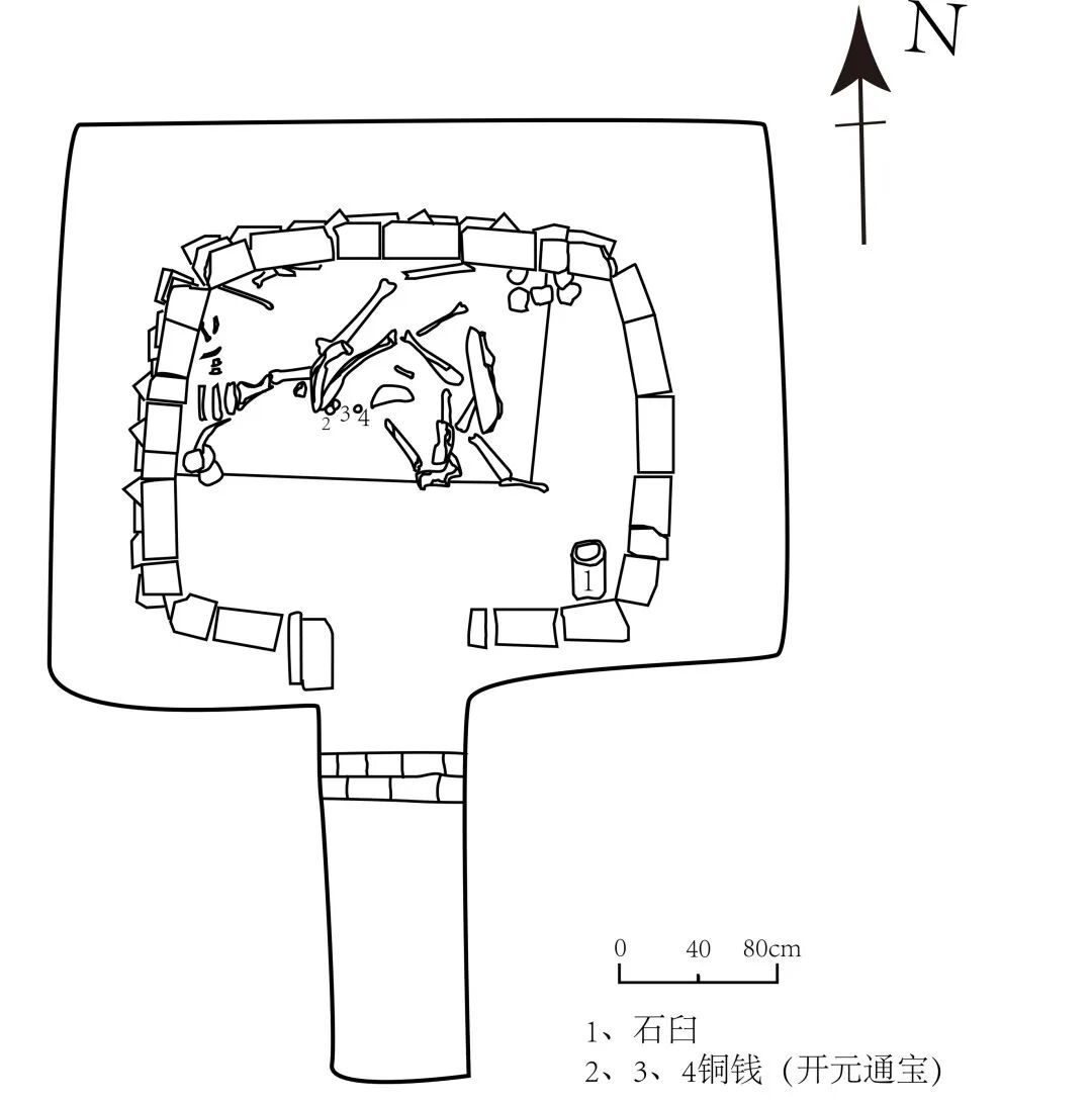 图五  大通关M27平剖图.jpg