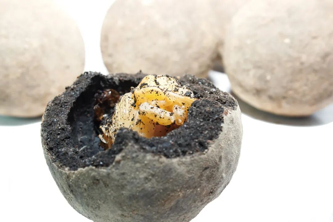 档案2 蜣螂幼虫自粪球出生-38696135.jpg